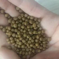 غذای ماهی|ماهی|تهران, منیریه|دیوار