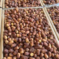 خرما زاهدی (قصب)|خوردنی و آشامیدنی|لامرد, |دیوار