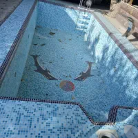 اجرای ۰تا ۱۰۰ استخر|خدمات پیشه و مهارت|ملارد, |دیوار