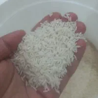 برنج هاشمی رو از کشاورز بخر