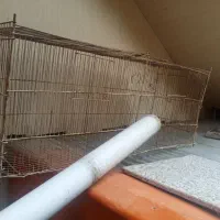 قفس|لوازم جانبی حیوانات|رشت, استقامت ۱|دیوار
