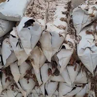خرید و فروش گروبک توت فرنگی بستر