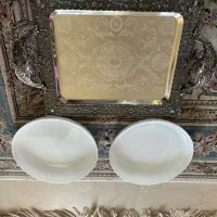 سینی  با دوتا دیس پیرکس