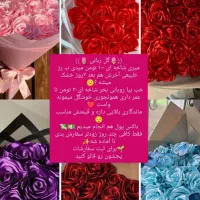 گل ربانی جاودان|گل مصنوعی|قیدار, |دیوار