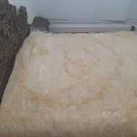 روتختی|سرویس روتختی|سبزوار, گلشن|دیوار