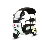 موتور سه چرخ برقی