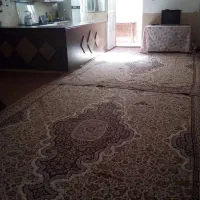 سوییت مجردی و خانواده