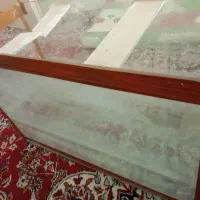 آکواریوم|ماهی|مشهد, کوشش|دیوار