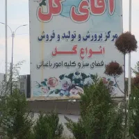 درخواسته نیروی کار در گلخونه