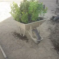 طراحی اجرا|خدمات باغبانی و درختکاری|هشتگرد, هشتگرد قدیم|دیوار