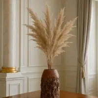 چاقو (درجه یک)