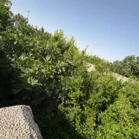 خانه باغ۳۷۰ متری با سند مسکونی تک برگ