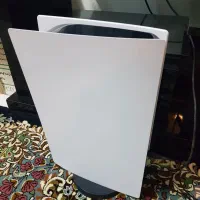 ps5 fat