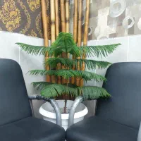 اجاره مغازه انتهای طبرستان ۸۶دستگاه (۲۰)متربراصلی