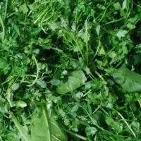 سبزی خورشتی پخته