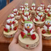 گردنبندهای یلدایی|بدلیجات|شیراز, پارک کوهستانی بوستان|دیوار