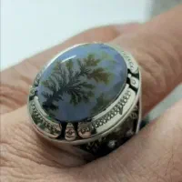 هفت انگشتر شجر