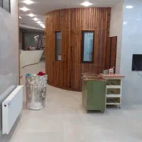 تعمیرات نجاری رنکگاری در کابینت آلاچیق ترمو پارکت