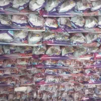 سفره یکبار مصرف|ظروف نگهدارنده، پلاستیکی، یک‌بارمصرف|دزفول, |دیوار
