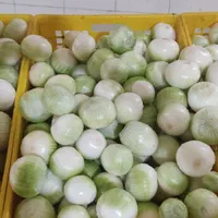 پوره پیاز پیاز آب گرفته|خوردنی و آشامیدنی|قم, قلعه کامکار|دیوار