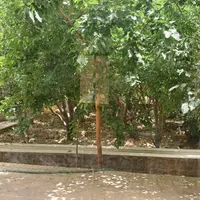 اجاره روزانه/هفتگی/ماهانه ویلا ۱۰۰۰ متری