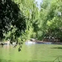 نیازمند نگهبان