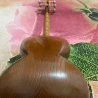 فروش تار ساز بهمراه کیس|سازهای سنتی|اصفهان, نصرآباد|دیوار