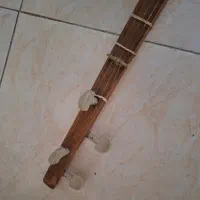 سه تار سالم|سازهای سنتی|پاکدشت, پاکدشت (مامازند)|دیوار