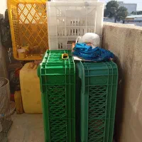 سبد مرغی.میوه .جنس درجه یک مناسب ماشین یخچالی