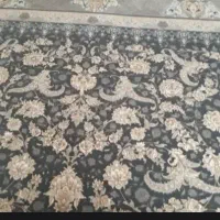 قالی ۱۲۰۰ گل برجسته|فرش|زرند, |دیوار