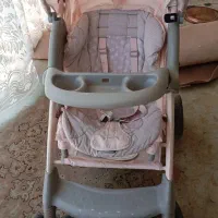 یک کالسکه به همراه کریر