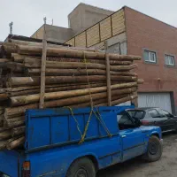 چوب ساختمانی (دیرخ)