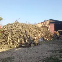 چوب مرکبات