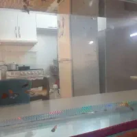 گوپی کوی|ماهی|مشهد, گاز|دیوار