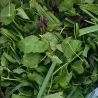 سبزی خوردن پاک شده