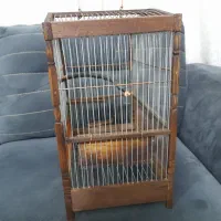 قفس سهره سهره قناری|لوازم جانبی حیوانات|کوهدشت, |دیوار