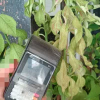 کارتخوان پوز سیار و ثابت و جیبی|فروشگاه و مغازه|یاسوج, |دیوار