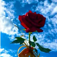 مجسمه برای فروش