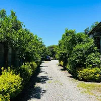 اجاره شبانه دربست ویلا باغ|اجارهٔ کوتاهمدت ویلا و باغ|نشتارود, |دیوار