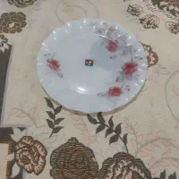 لیوان|ظروف سرو و پذیرایی|شیراز, شهدای شهرک سعدی|دیوار