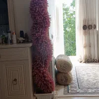 گل صورتی خوشگل