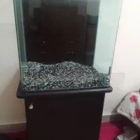 آکواریوم سالم