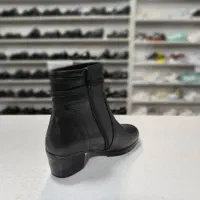 پخش کفش امیر