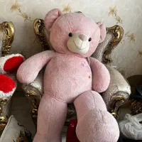 خرس خارجی بزرگ