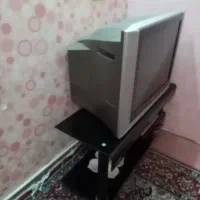 تلویزیون 29 اینچ|تلویزیون و پروژکتور|اندیشه, اندیشه فاز ۱|دیوار