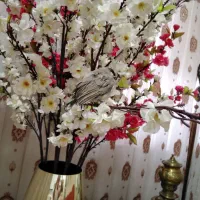 اجاره منزل ویلایی 2 خوابه