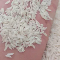 برنج طارم درجه یک|خوردنی و آشامیدنی|خوانسار, |دیوار