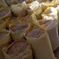 پوشال نجاری