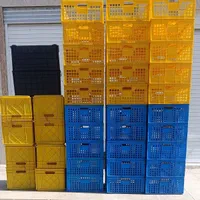 نمایندگی و مرکز پخش انواع سبد درجه یک و دو