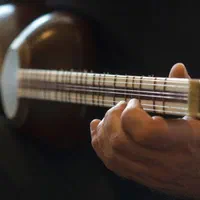 آموزش-تدریس تار و سه تار (خصوصی-آموزشگاه)|خدمات آموزشی|تبریز, |دیوار